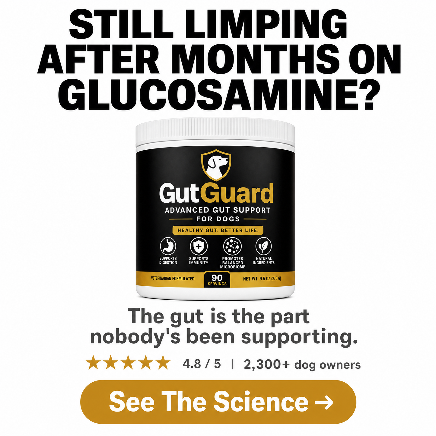 Dog Joint + Probiotic Stack