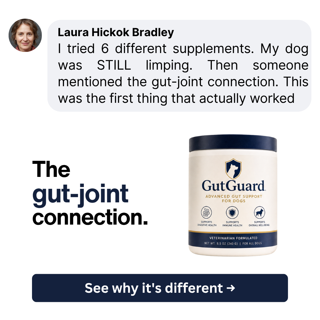 Dog Joint + Probiotic Stack